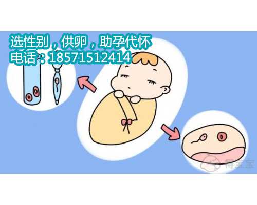 <strong>杭州借卵生子自怀,试管婴儿促排期间可以吃中药</strong>
