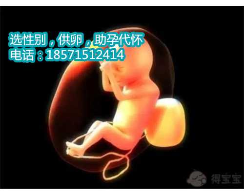 杭州借卵途径,梦美解读：与美国试管婴儿冻胚移