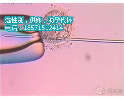 杭州借卵做试管合法吗,成都试管婴儿中介：切除子宫有哪些危害