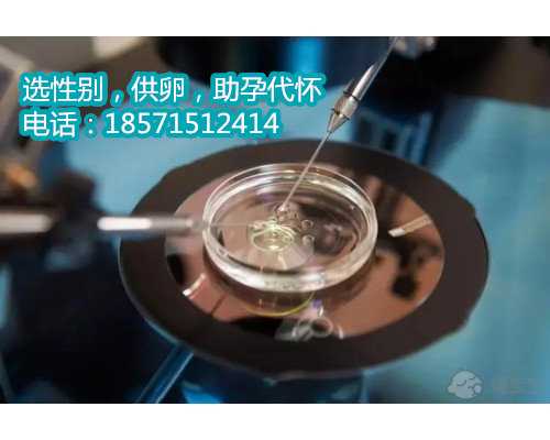 杭州正规供卵试管要花多少钱,全球“追捧”羟氯