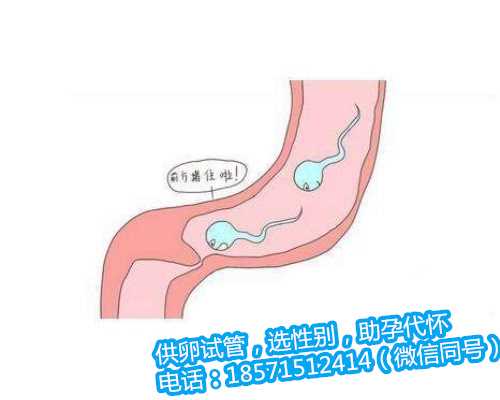 <strong>杭州最好助孕网,试管婴儿的成功率是如何计算的</strong>