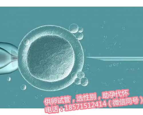 杭州私人机构做供卵试管,AMH0.1的女性在南昌哪家医院做试管成功率高