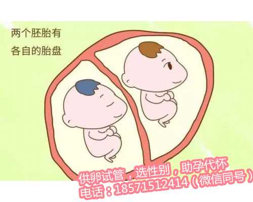 杭州供卵代生孩子价格表,最好的试管婴儿医院